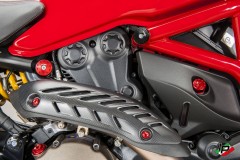 CNC Racing Carbon Hitzeschutz Krmmer fr Ducati Monster 821 & 1200